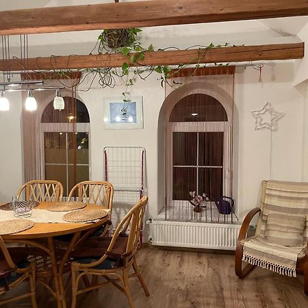 Apartment Krkonosska 坦瓦尔德 外观 照片