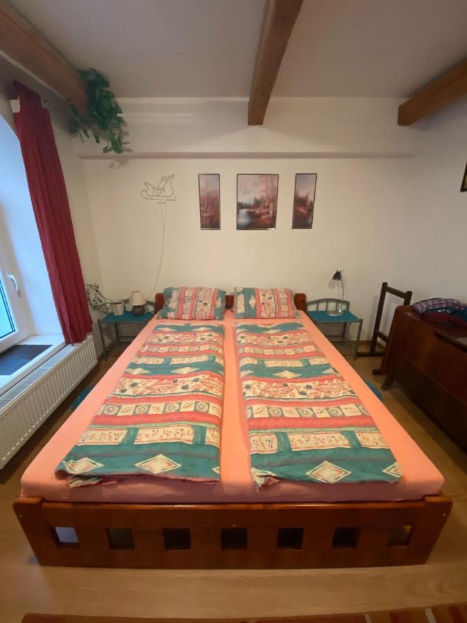 Apartment Krkonosska 坦瓦尔德 外观 照片