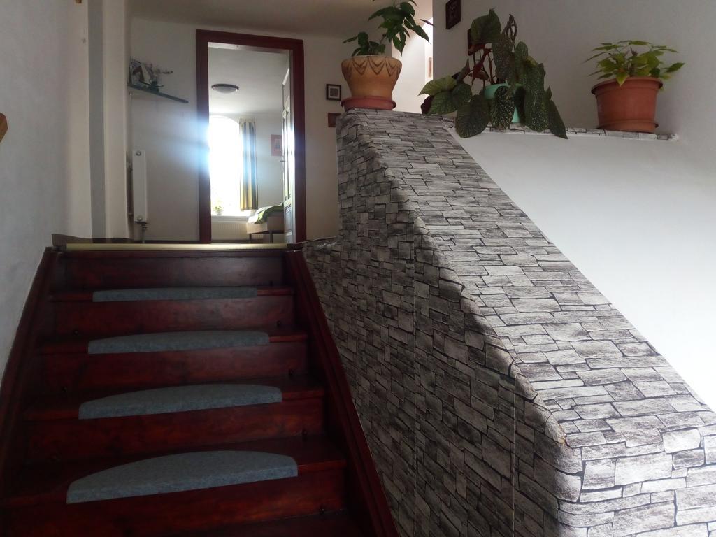 Apartment Krkonosska 坦瓦尔德 外观 照片