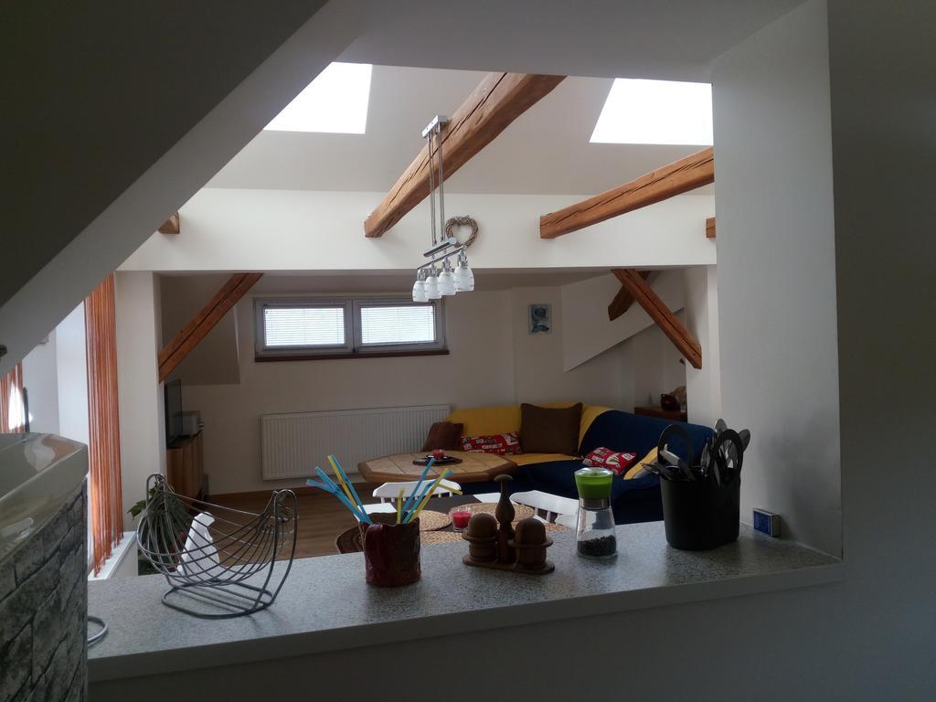 Apartment Krkonosska 坦瓦尔德 外观 照片