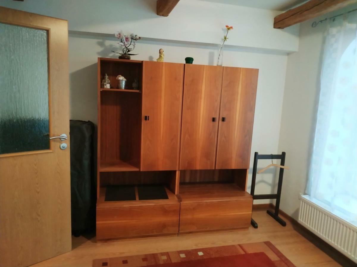 Apartment Krkonosska 坦瓦尔德 外观 照片
